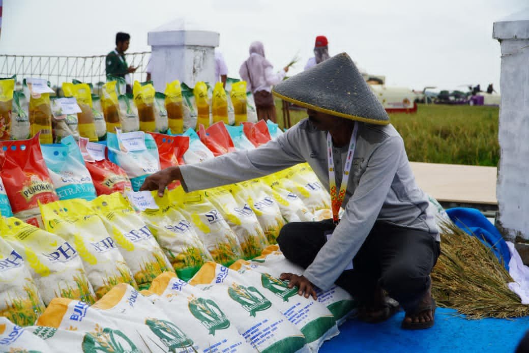 Beras Murah Masih Ada! SPHP Beras Tembus 15 Ribu Ton di Januari