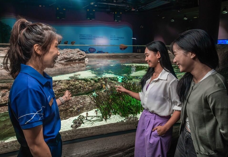 Singapore Oceanarium Ajak Pengunjung Kenal Kuda Laut Lewat Tur Eksklusif