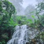 Curug Batu Gede Cisuren: Destinasi Alam di Puncak Bogor yang Cocok untuk Refresh Pikiran