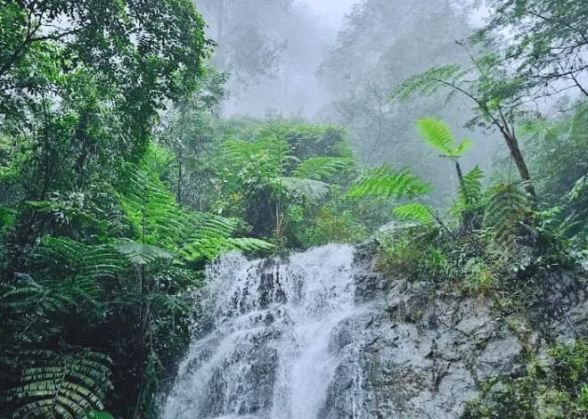 Curug Batu Gede Cisuren: Destinasi Alam di Puncak Bogor yang Cocok untuk Refresh Pikiran