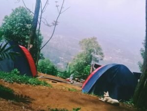 Curug Batu Gede Cisuren: Destinasi Alam di Puncak Bogor yang Cocok untuk Refresh Pikiran