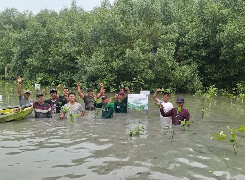 Kolaborasi Hijau di Surabaya, 1.000 Pohon Ditanam di Kawasan Pesisir