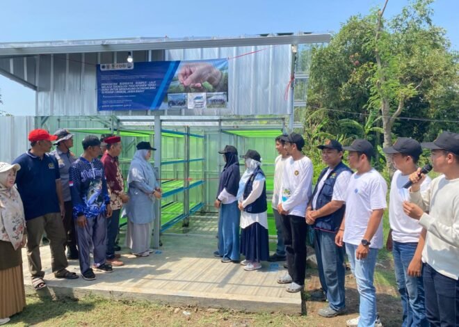 Tak Lagi Bergantung Cuaca, Teknologi ITB Ini Bikin Pengeringan Rumput Laut Lebih Cepat & Higienis