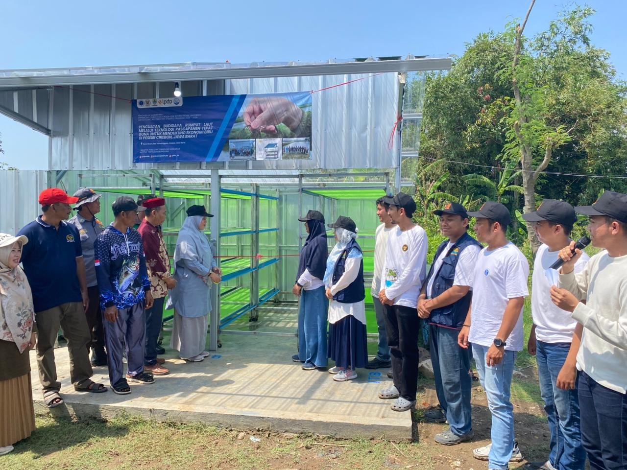 Tak Lagi Bergantung Cuaca, Teknologi ITB Ini Bikin Pengeringan Rumput Laut Lebih Cepat & Higienis