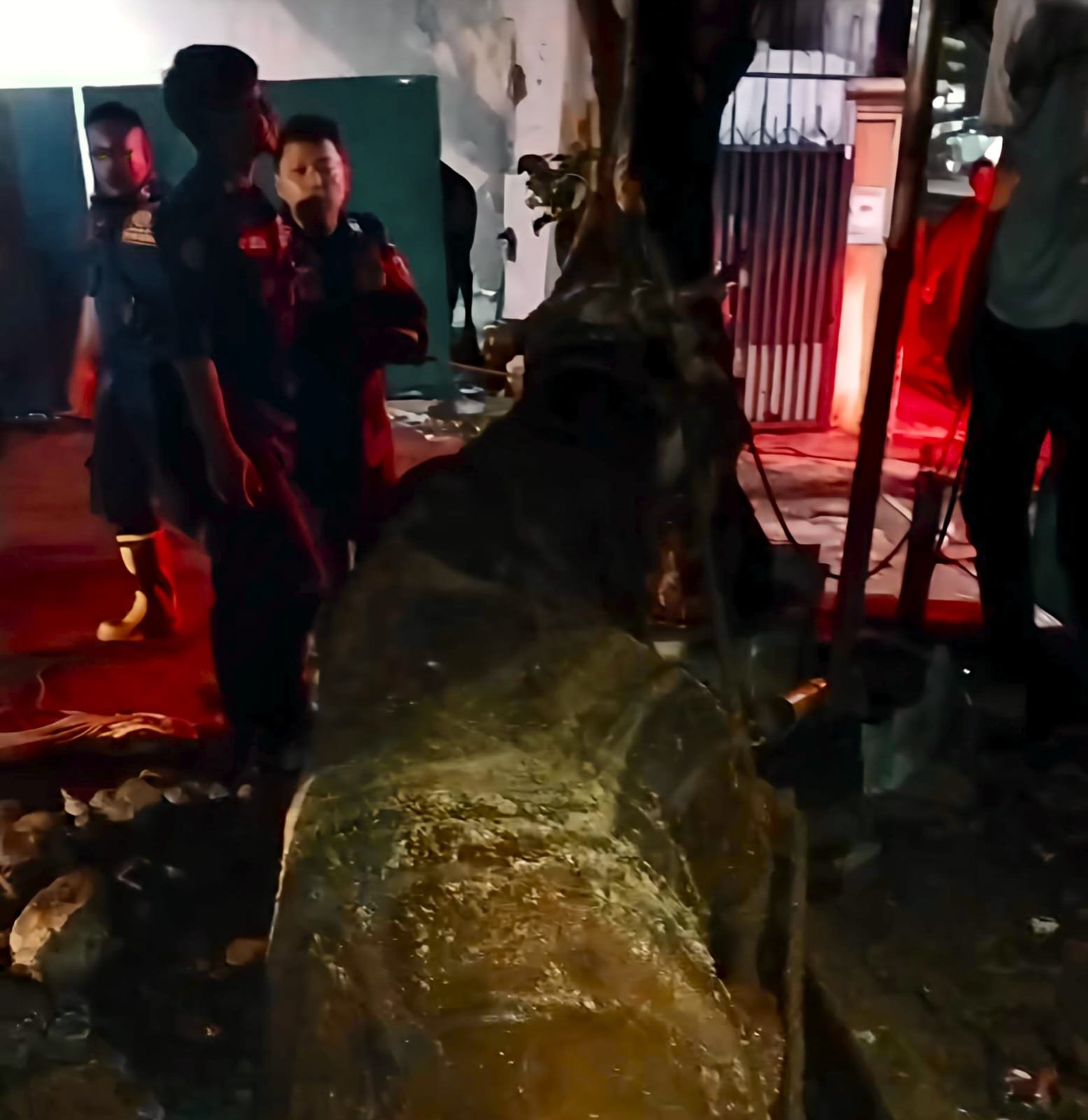 Evakuasi 2 Jam, Damkar Cileungsi Berhasil Selamatkan Sapi Limosin dari Lubang Pembuangan Kotoran