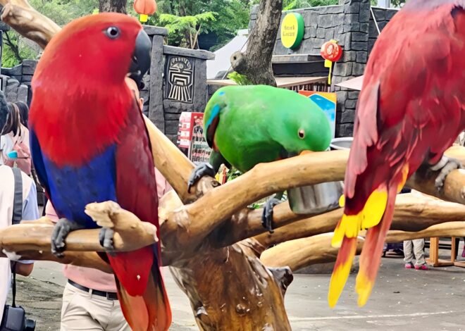 Jakarta Bird Land Jadi Destinasi Favorit Keluarga untuk Edukasi Satwa dan Foto Estetik