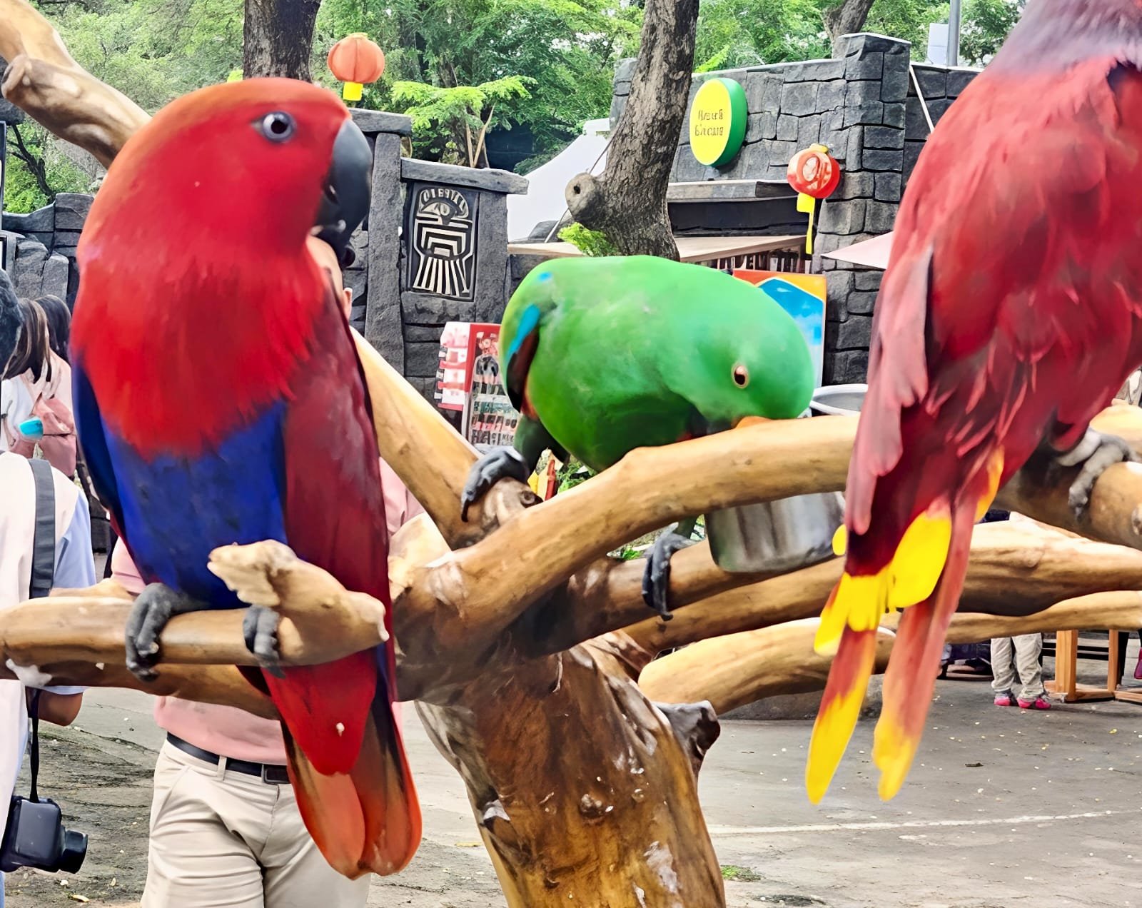 Jakarta Bird Land Jadi Destinasi Favorit Keluarga untuk Edukasi Satwa dan Foto Estetik