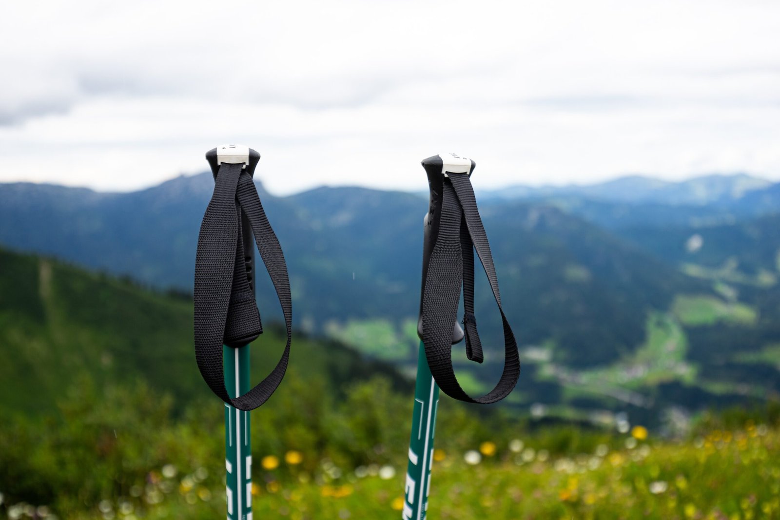 Trekking Pole di Aktivitas Glamping: Manfaat dan Fungsinya