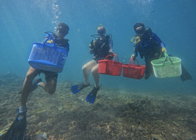 Innit Lombok Dukung Pemulihan Ekosistem Laut Lewat Program Restorasi Terumbu Karang