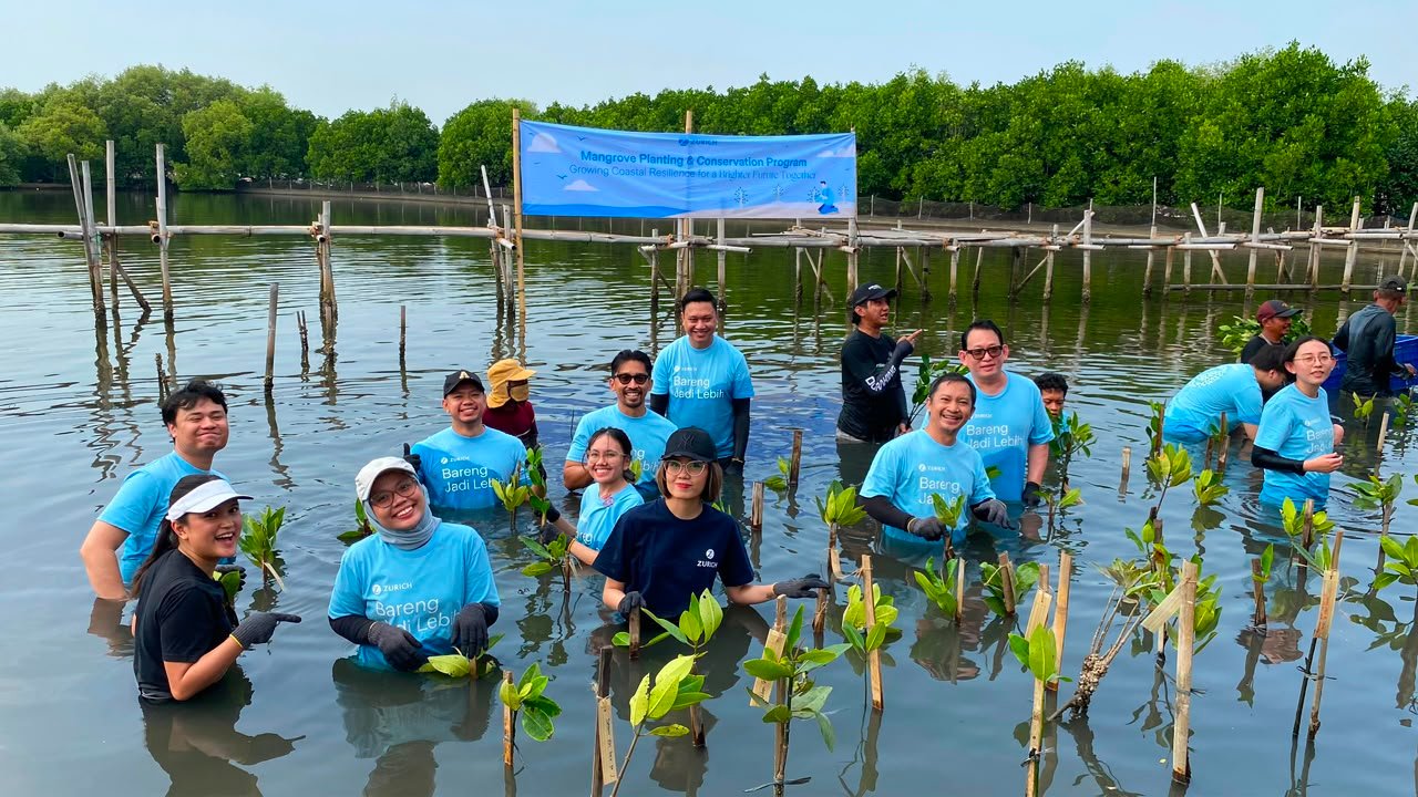 Peringati International Mangrove Day, Zurich Indonesia dan Seasoldier Tanam Ratusan Bibit Mangrove untuk Perkuat Ketahanan Pesisir