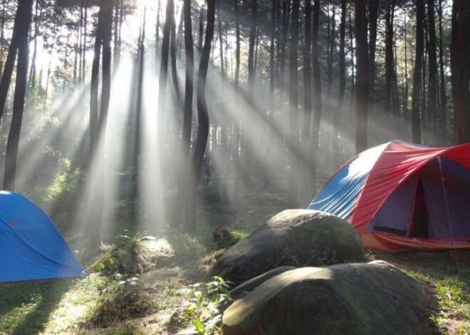 5 Rekomendasi Camping dan Glamping di Bogor, Pilihan Liburan Bernuansa Alam
