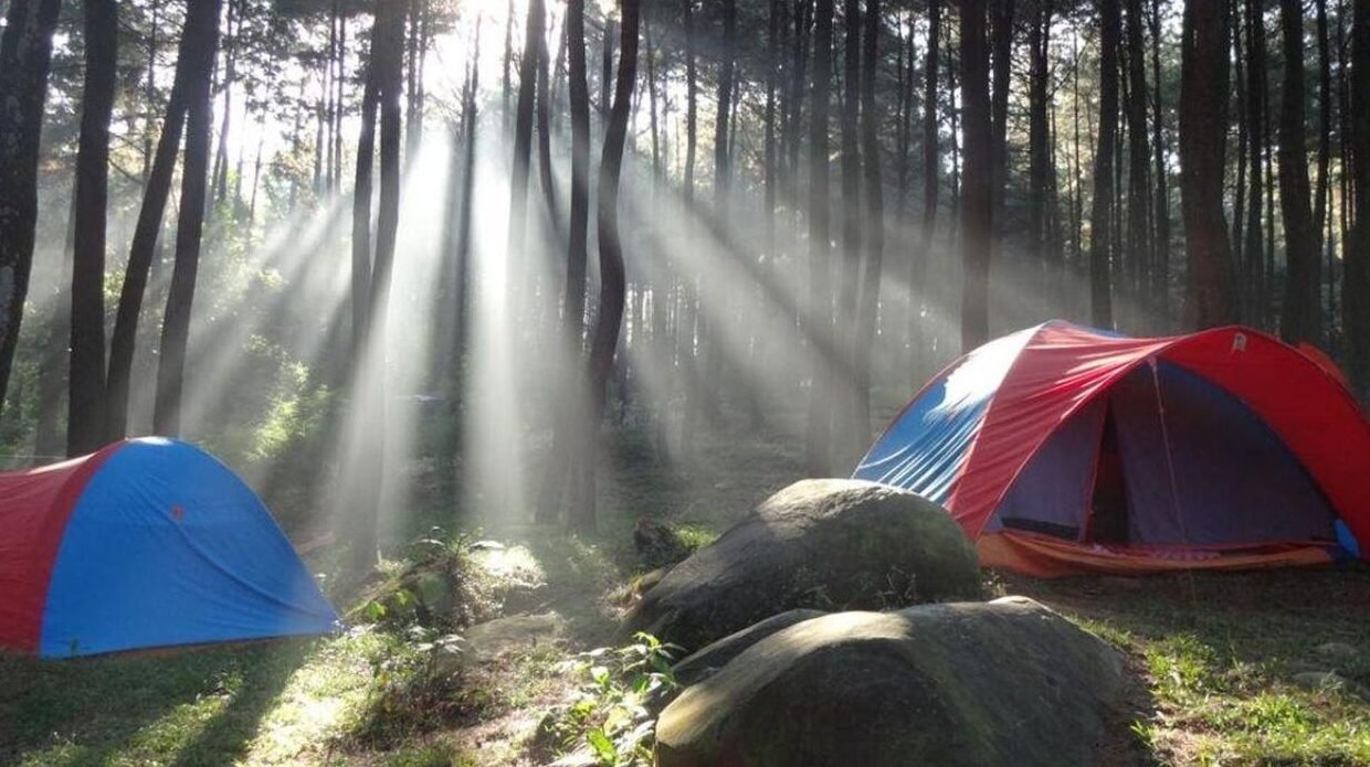5 Rekomendasi Camping dan Glamping di Bogor, Pilihan Liburan Bernuansa Alam