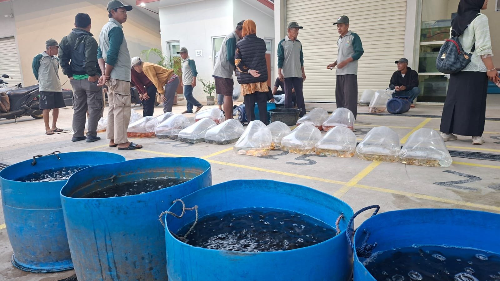 Pasar Benih Ikan Ciseeng Ditata, Pemkab Bogor Perkuat Ekosistem Perikanan