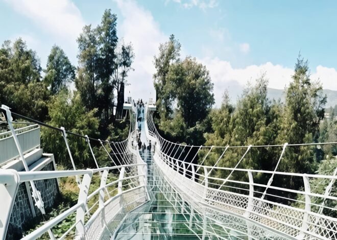 Jembatan Kaca Bromo di Seruni Point Tawarkan Pengalaman Wisata Berbeda