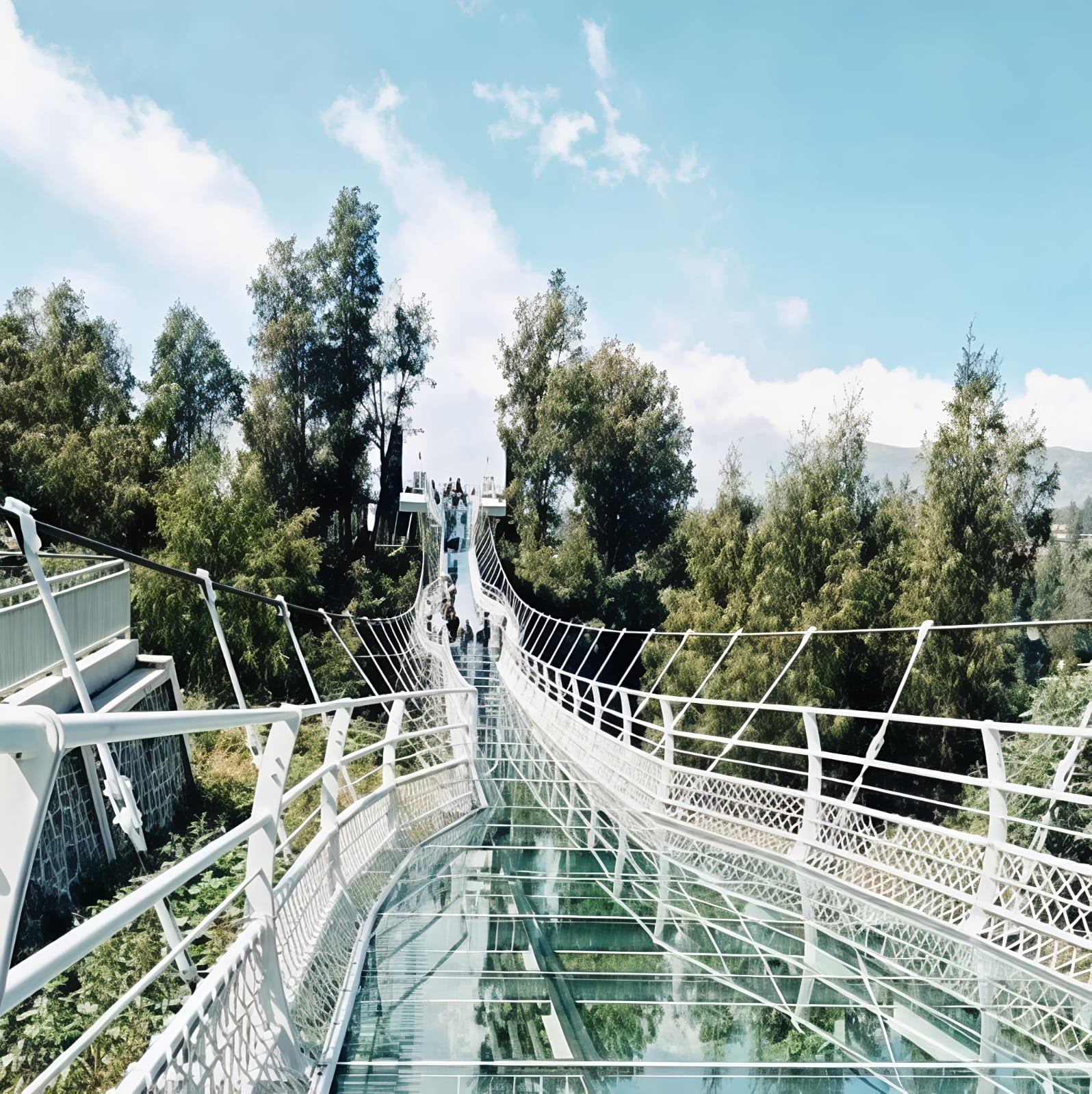 Jembatan Kaca Bromo di Seruni Point Tawarkan Pengalaman Wisata Berbeda