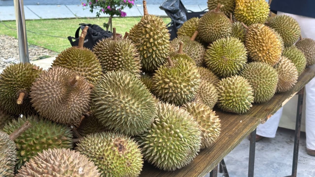 Durian Lokal Kabupaten Bogor Didorong Naik Kelas hingga Pasar Global