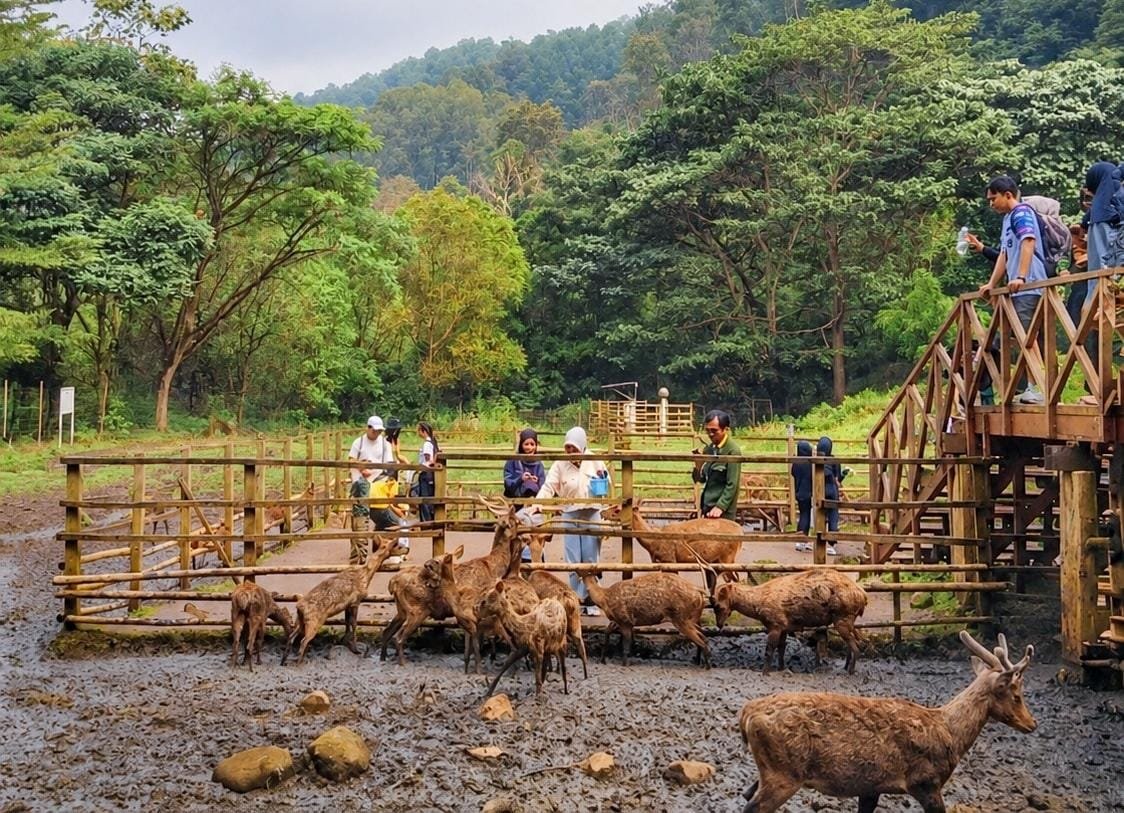 Menemukan Sisi Lain Bandung Lewat The Urban Nature Retreat
