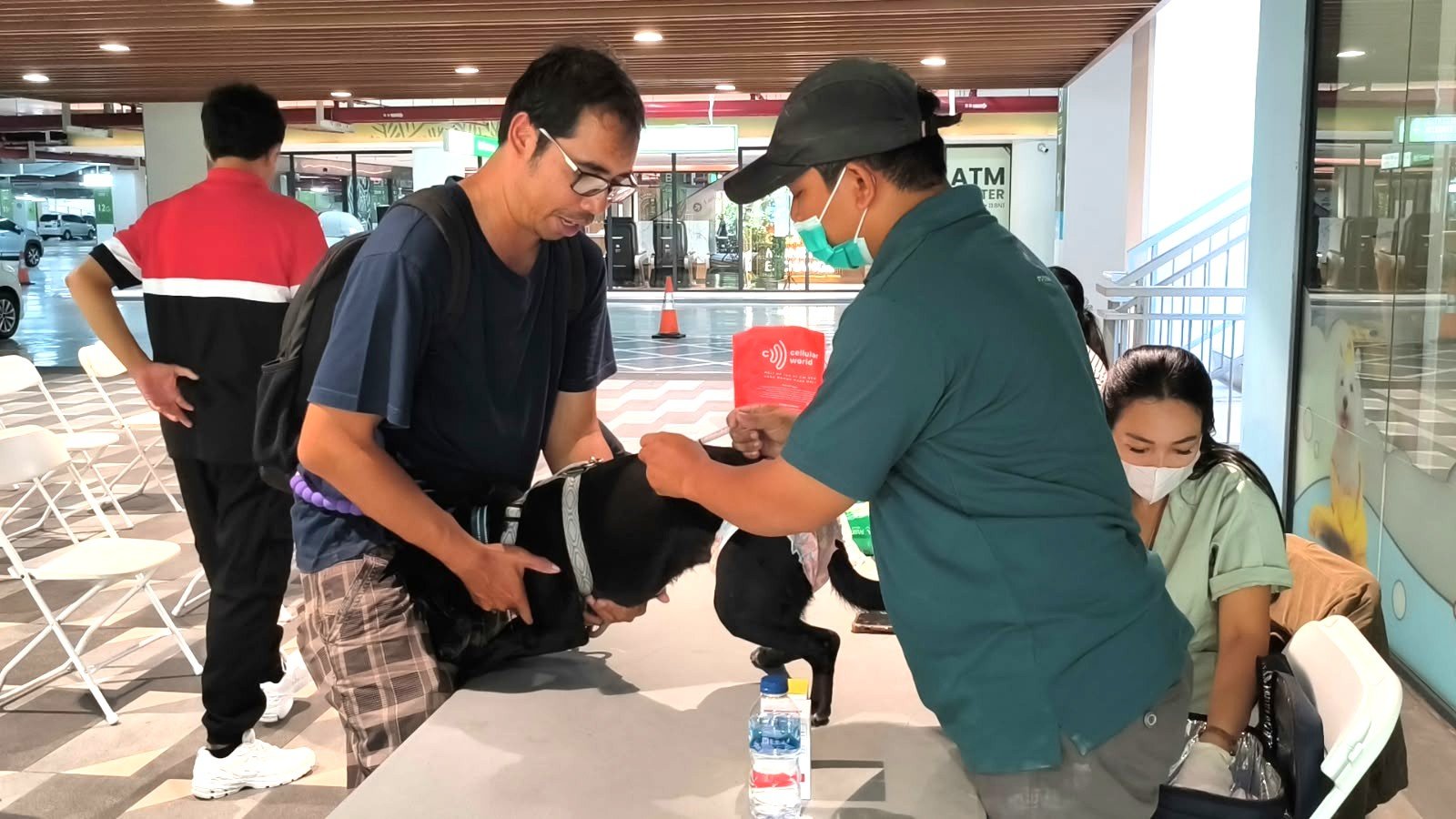 PET KINGDOM Perluas Kepedulian untuk Anabul Lewat CARE FOR PAW 2026
